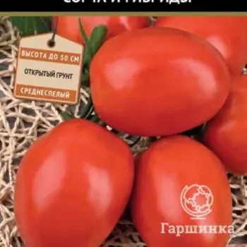 Семена Томат Кадет (А) 0,1, Поиск