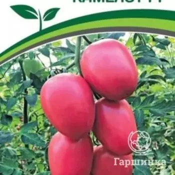 Семена Томат Камелот F1 5 шт. Партнер