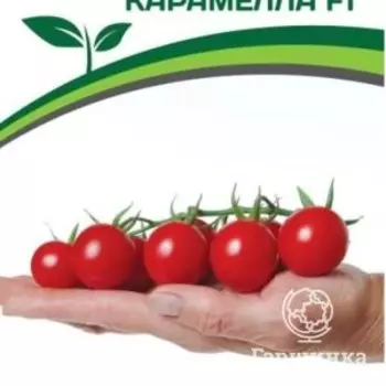 Семена Томат Карамелла F1 5 шт. Партнер