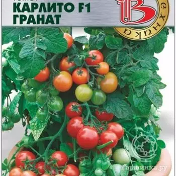 Семена Томат Карлито Гранат F1