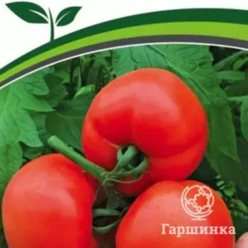 Семена Томат Кастельяно F1 5 шт. Партнер
