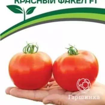 Семена Томат Красный Факел F1 5 шт. Партнер