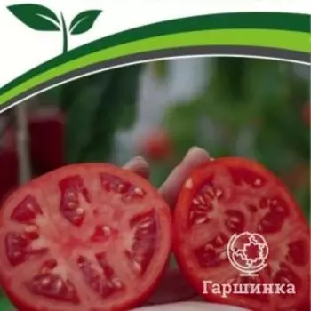 Семена Томат Куртизанка F1 0,05 гр. Партнер