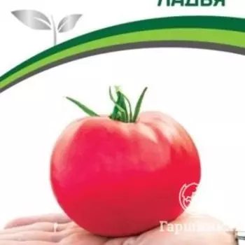 Семена Томат Ладья 10 шт. Партнер