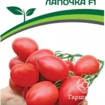 Семена Томат Лапочка F1 10 шт. Партнер