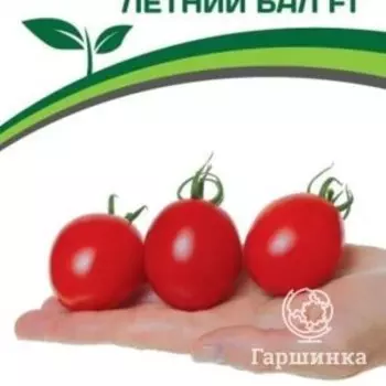 Семена Томат Летний Бал F1 10 шт. Партнер