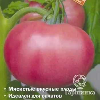 Семена Томат Летний румянец (А) 0,1, Поиск