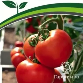 Семена Томат Липинец F1 10 шт. Партнер