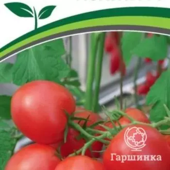 Семена Томат Лолита F1 10 шт. Партнер