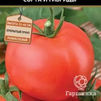 Семена Томат Ляна (А) 0,1, Поиск