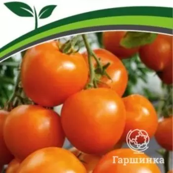 Семена Томат Мальта F1 10 шт. Партнер