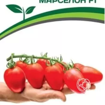 Семена Томат Марселон F1 5 шт. Партнер