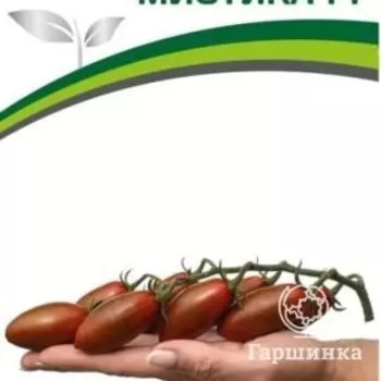 Семена Томат Мистика F1 5 шт. Партнер