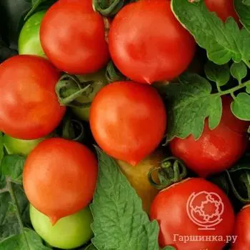 Семена Томат Персик красный (Вкуснятина) 15шт