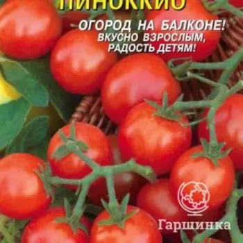 Семена Томат Пиноккио 25 шт Плазменные семена