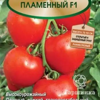 Семена Томат Пламенный F1 (А) 12, Поиск