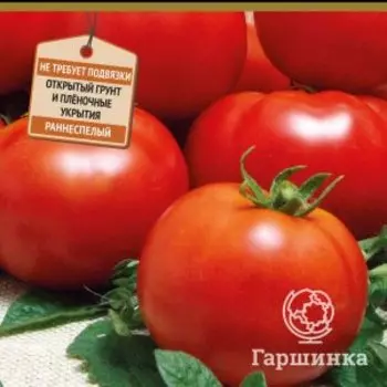 Семена Томат Пламя Агро (А) 0,1, Поиск