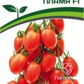 Семена Томат Пламя F1 10 шт. Партнер