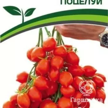 Семена Томат Поцелуй 10 шт. Партнер