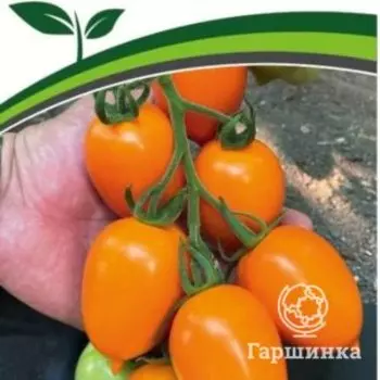 Семена Томат Покер F1 10 шт. Партнер