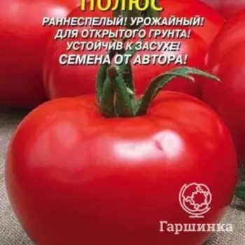 Семена Томат Полюс 25 шт Плазменные семена