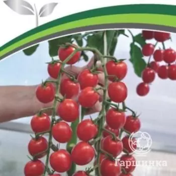 Семена Томат Пушка F1 5 шт. Партнер