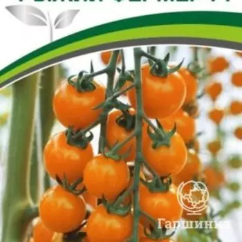 Семена Томат Рыжий Фермер F1 5 шт. Партнер