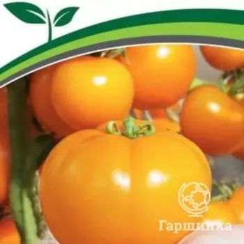Семена Томат Сельчанка F1 0,05 гр. Партнер