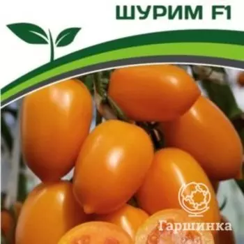 Семена Томат Шурим F1 10 шт. Партнер