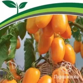 Семена Томат Сиеста F1 10 шт. Партнер