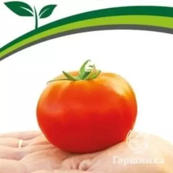 Семена Томат Старпом F1 10 шт. Партнер