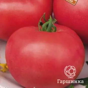 Семена Томат Сударь F1 (А) 12, Поиск