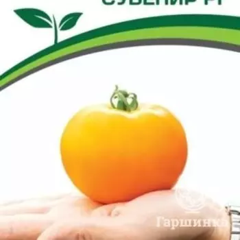 Семена Томат Сувенир F1 10 шт. Партнер