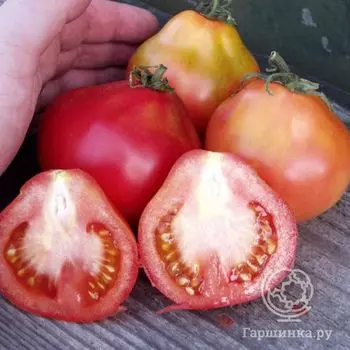 Семена Томат Трюфель Красный 20шт