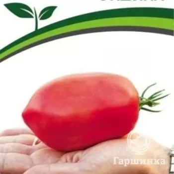 Семена Томат Ундина 0,05гр. Партнер