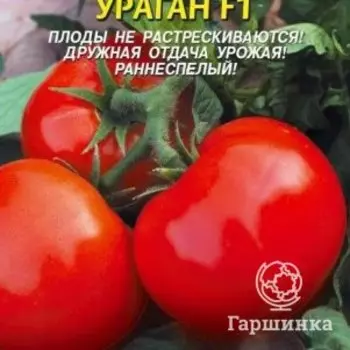 Семена Томат Ураган F1 10 шт Плазменные семена