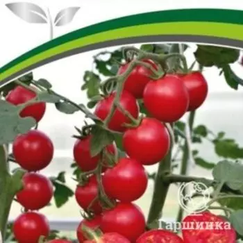 Семена Томат Визажист F1 5 шт. Партнер