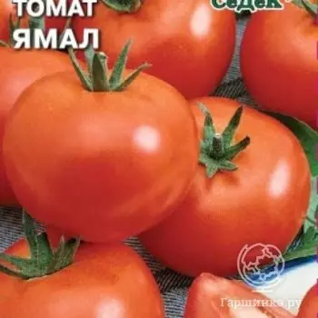 Семена Томат Ямал