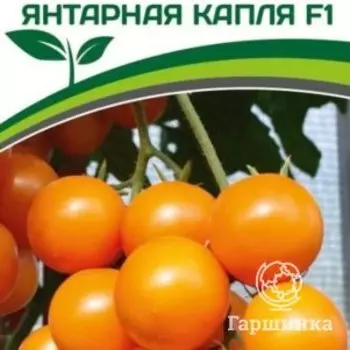 Семена Томат Янтарная Капля F1 10 шт. Партнер