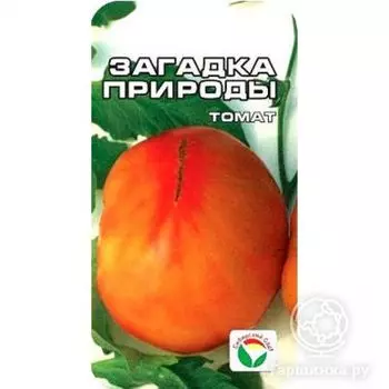 Семена Томат Загадка природы 20 шт.