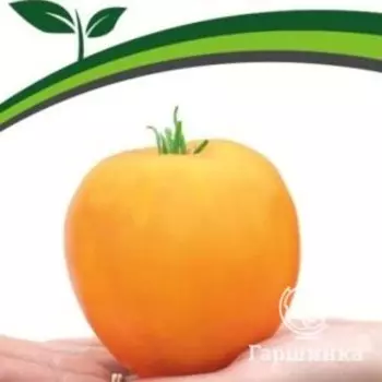 Семена Томат Желтая Империя F1 10 шт. Партнер