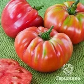 Семена Томат Зимаревский великан 20шт