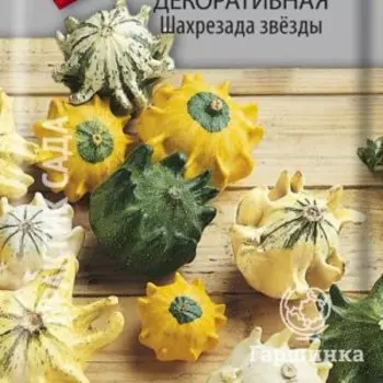 Семена Тыква декоративная Шахрезада звезды 5, Поиск