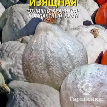 Семена Тыква Изящная, 2 гр, Плазменные семена