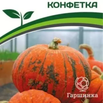 Семена Тыква Конфетка 5 шт. Партнер