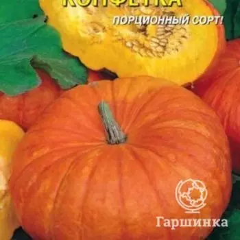 Семена Тыква Конфетка 6 шт Плазменные семена