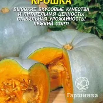 Семена Тыква Крошка 2 гр Плазменные семена