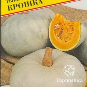 Семена Тыква "Крошка" 5 шт, Престиж