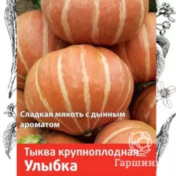 Семена Тыква крупноплодная Улыбка 3, Поиск
