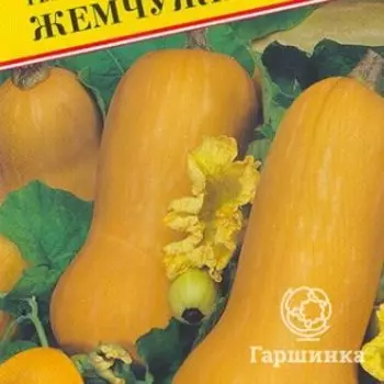 Семена Тыква мускатная "Жемчужина" 5 шт, Престиж